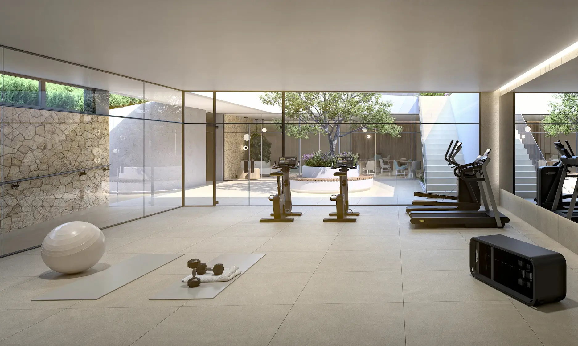 GIMNASIO